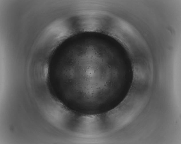 X0000111940118200909071307