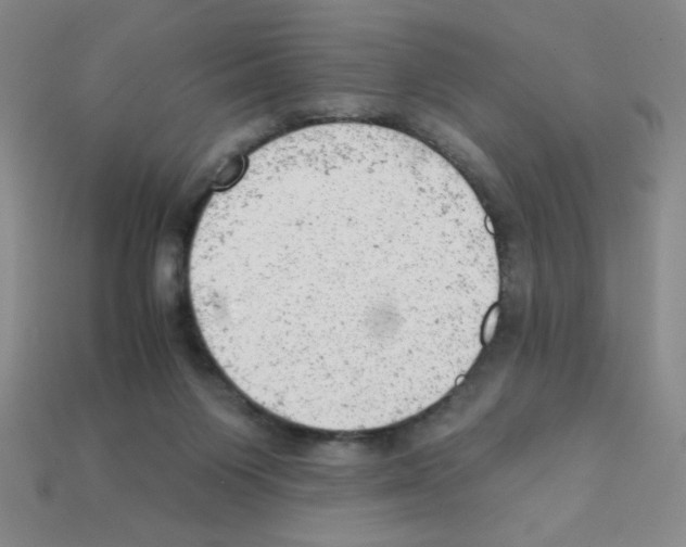 X0000111940119200909071307