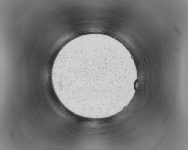 X0000111940120200909071307