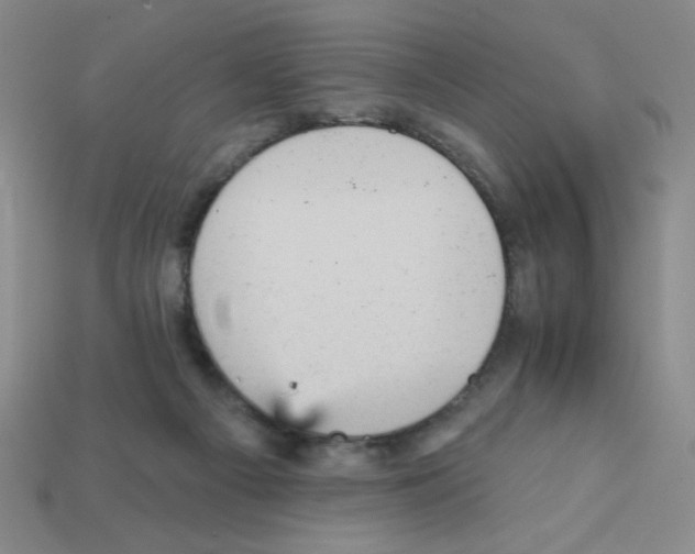 X0000111940121200909071307