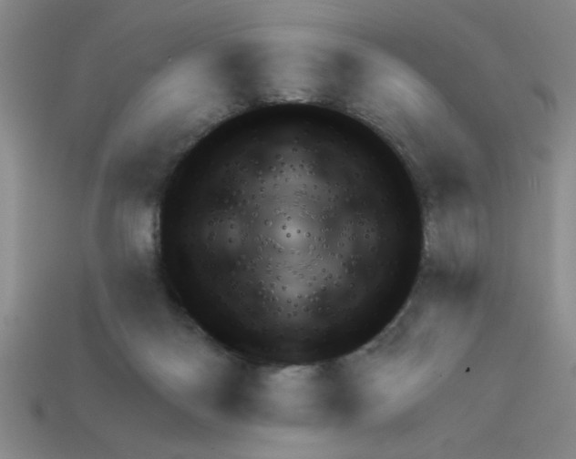 X0000111940122200909071307