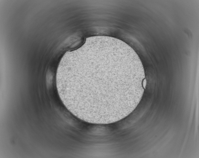 X0000111940123200909071307