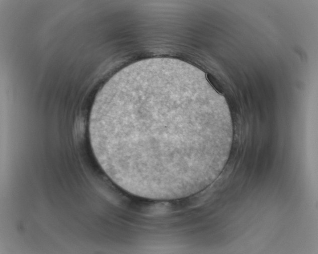X0000111940124200909071307