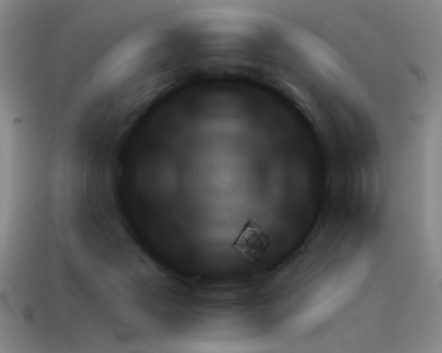 X0000111940125200909071307