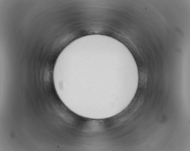 X0000111940126200909071307