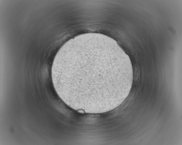 X0000111940128200909071307