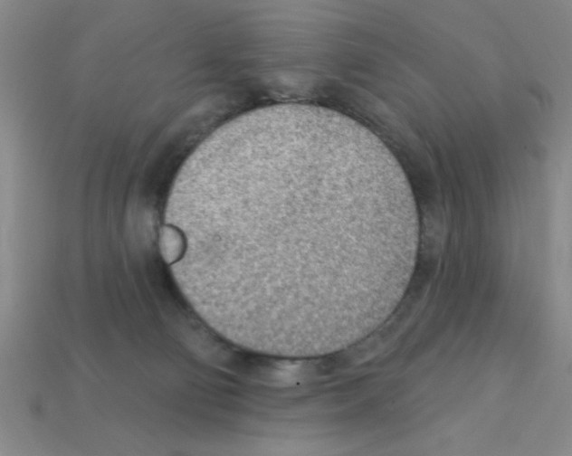 X0000111940130200909071307