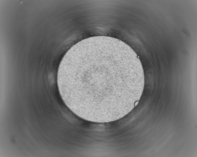 X0000111940131200909071307