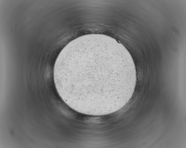 X0000111940132200909071307