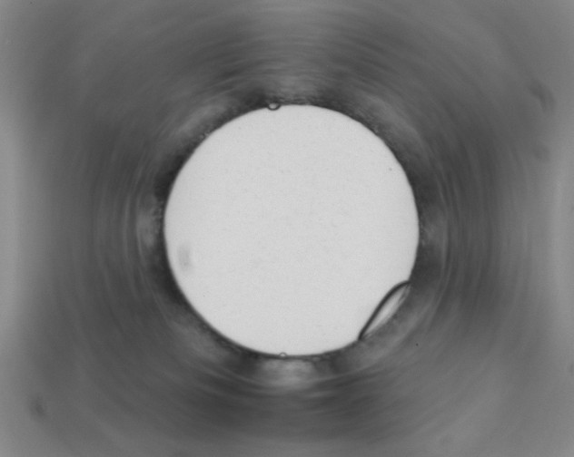 X0000111940133200909071307