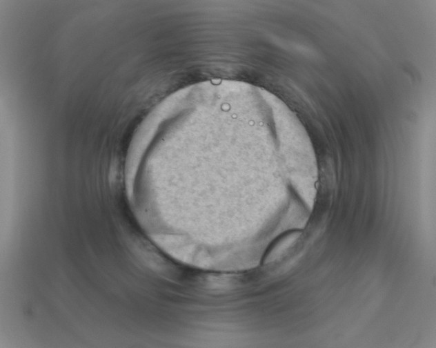 X0000111940134200909071307