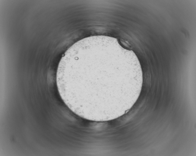 X0000111940135200909071307
