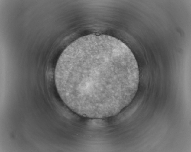 X0000111940137200909071307