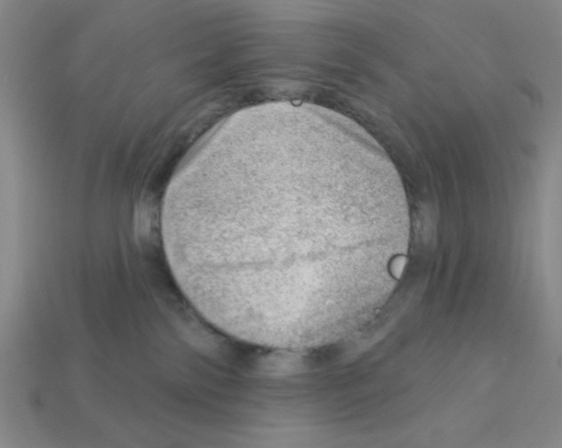 X0000111940138200909071307