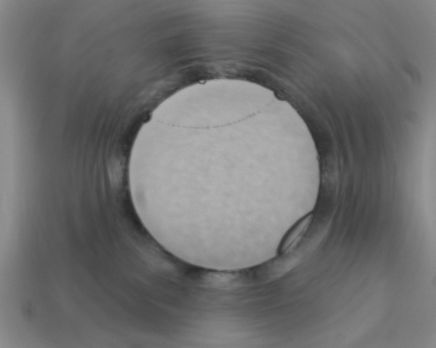 X0000111940139200909071307