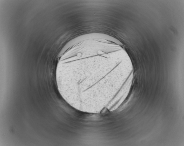 X0000111940140200909071307