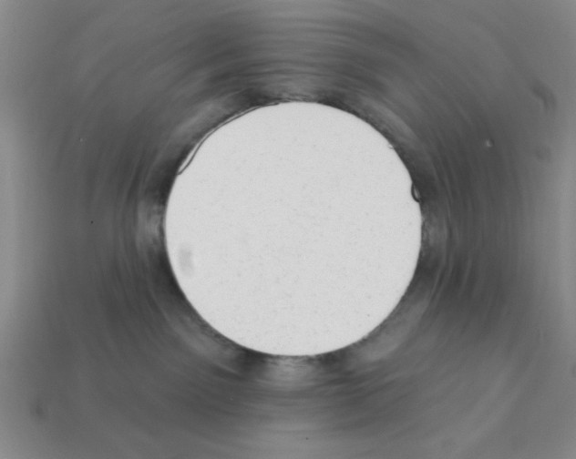 X0000111940141200909071307