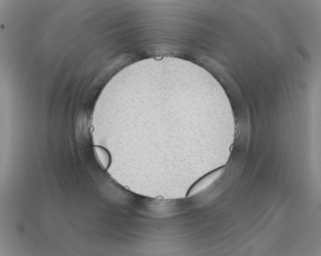 X0000111940142200909071307