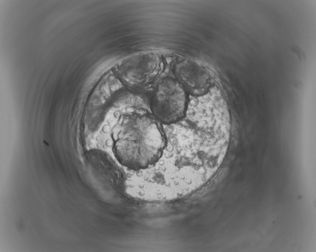 X0000111940145200909071306