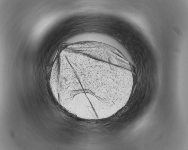 X0000111940146200909071306