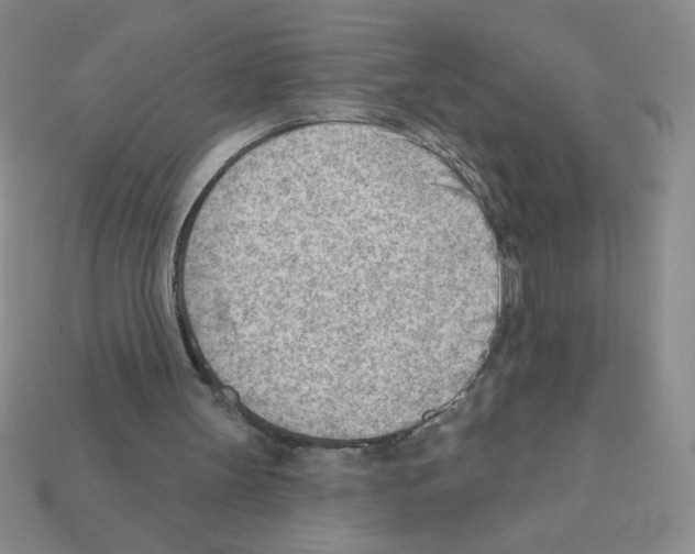 X0000111940147200909071306