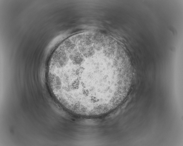 X0000111940149200909071307