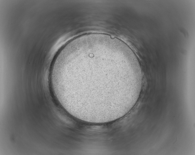 X0000111940151200909071307