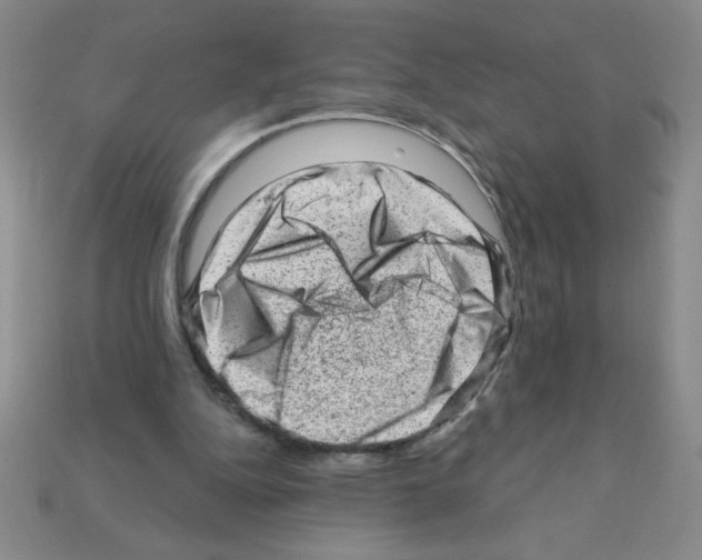 X0000111940152200909071307