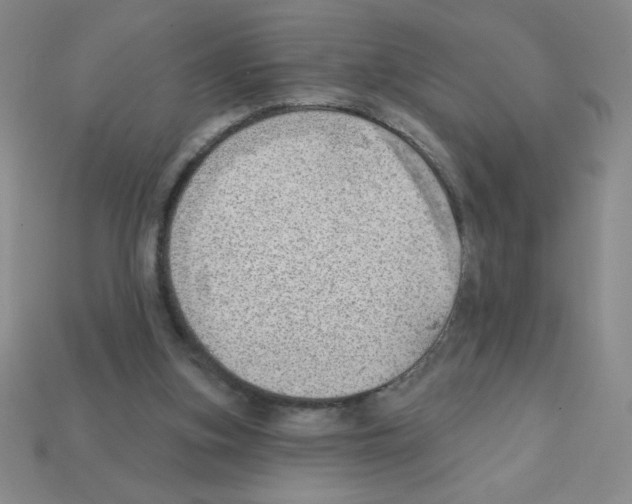 X0000111940155200909071307