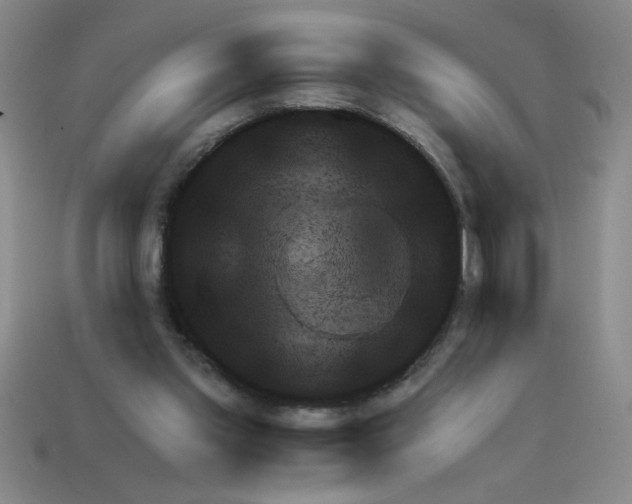 X0000111940157200909071307
