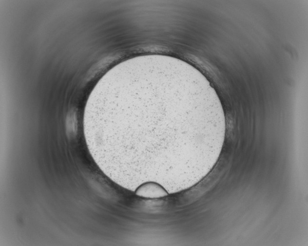 X0000111940158200909071307