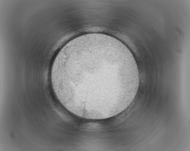 X0000111940159200909071307