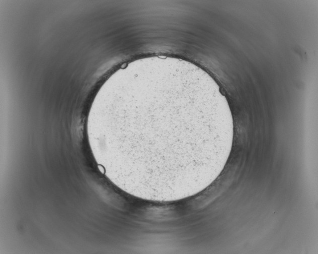 X0000111940160200909071307