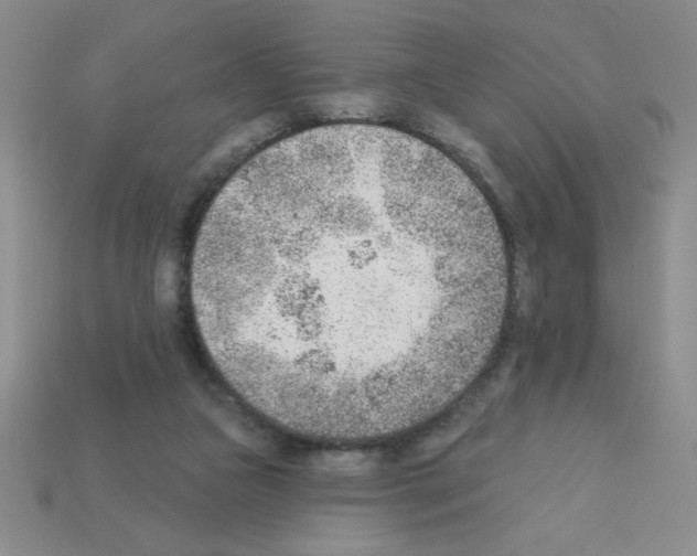 X0000111940161200909071307