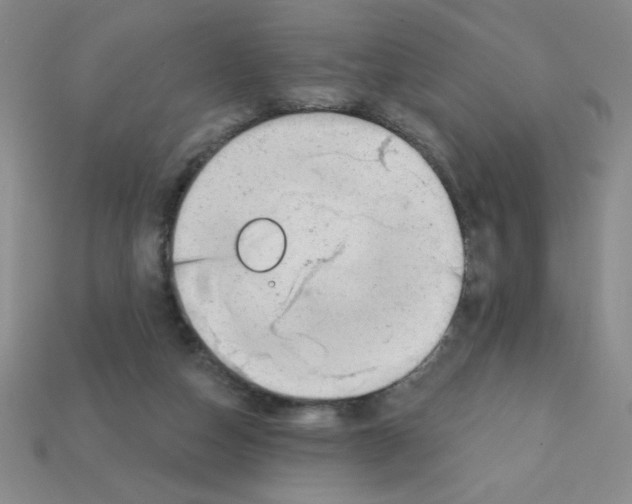 X0000111940162200909071307