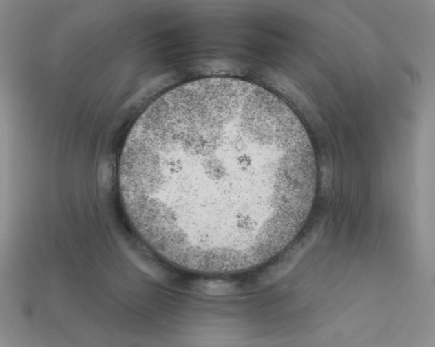 X0000111940165200909071307
