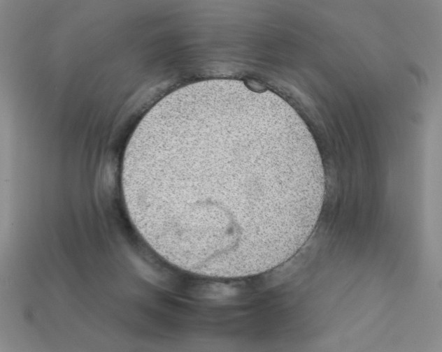 X0000111940166200909071307