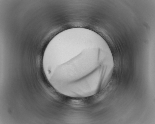 X0000111940167200909071307