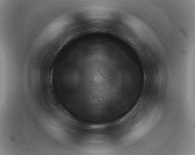 X0000111940168200909071307