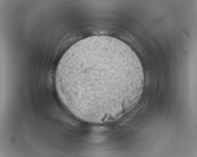 X0000111940169200909071307