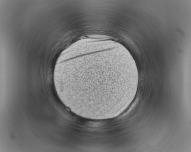 X0000111940170200909071307