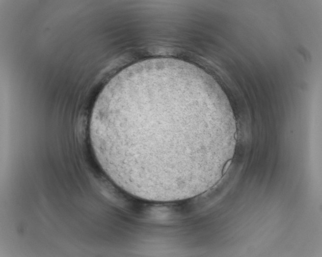 X0000111940171200909071307