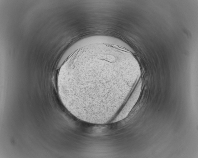 X0000111940172200909071307