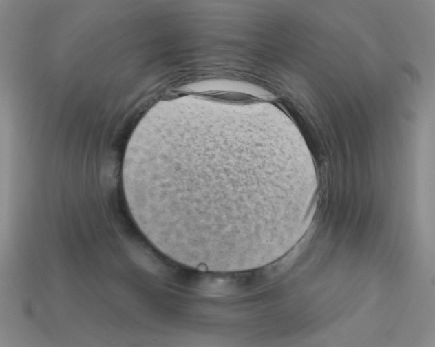 X0000111940174200909071307