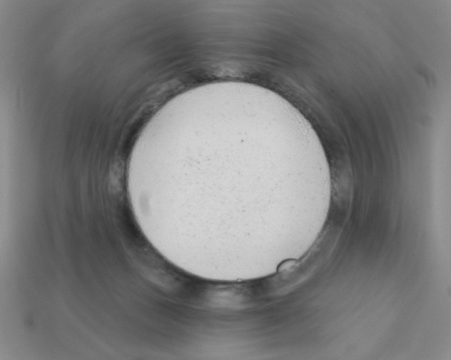 X0000111940175200909071307
