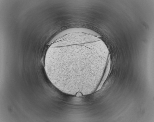 X0000111940176200909071307