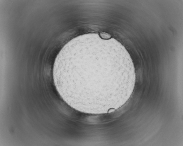 X0000111940178200909071307