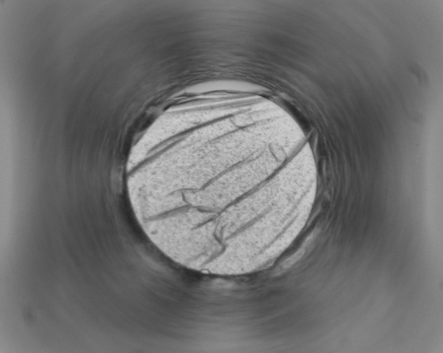 X0000111940180200909071307