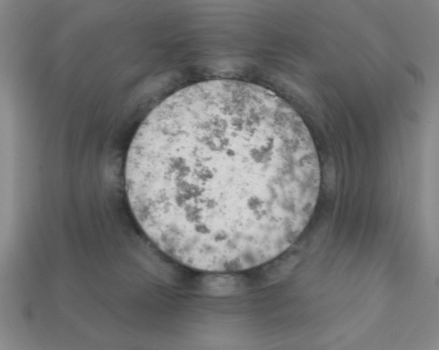 X0000111940181200909071307