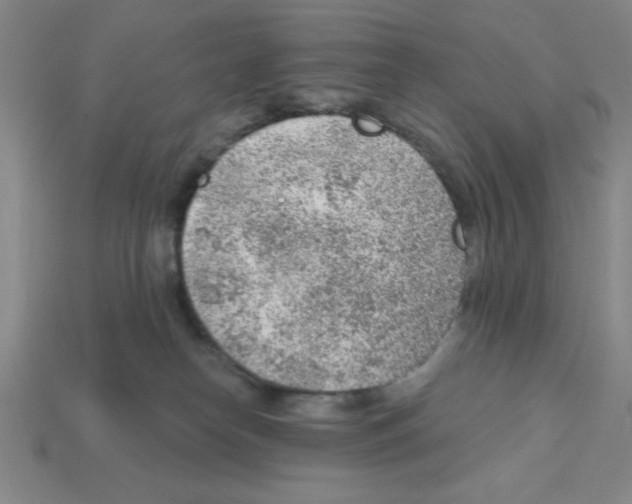 X0000111940182200909071307